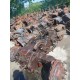 FIAT SOMECA 766